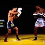 MUAY THAI: ROUNDHOUSE KICK