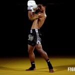 Uppercut (หมัดเสย/หมัดสอยดาว)