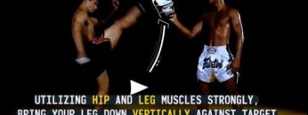 Axe Kick: instructional