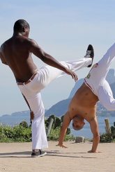 Capoeira Techniques Demo