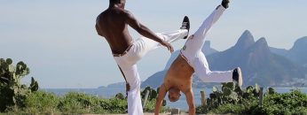 Capoeira Techniques Demo