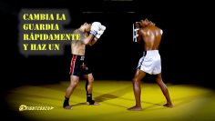 Combinación de Muay Thai/MMA: Patada alta-Patada baja-Gancho-Uppercut-Rodilla