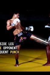 Combo: Inside Leg Kick, Straight Punch