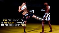 Combo: Inside Leg Kick, Straight Punch
