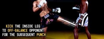 Combo: Inside Leg Kick, Straight Punch