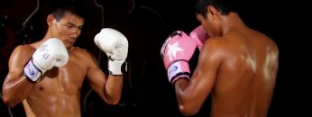 Cross (Straight punch): instructional