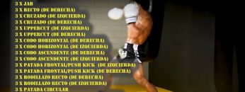 Entrenamiento con saco para Muay Thai/MMA