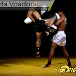 Joelhada Voadora (Muay Thai/MMA)