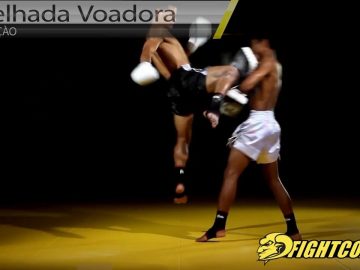Joelhada Voadora (Muay Thai/MMA)