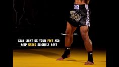 Muay Thai Basic Stance and Movement: instructional