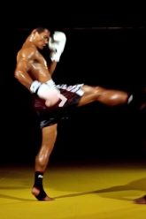 Muay Thai Front Kick: instructional video