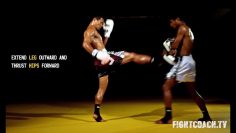 Muay Thai Front Kick: instructional video