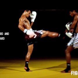 Muay Thai Front Kick: instructional video