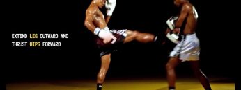Muay Thai Front Kick: instructional video