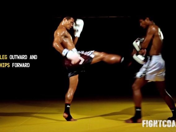 Muay Thai Front Kick: instructional video