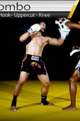 Muay Thai/MMA Combo: Switch Kick, Leg Kick, Hook, Uppercut, Knee