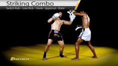 Muay Thai/MMA Combo: Switch Kick, Leg Kick, Hook, Uppercut, Knee