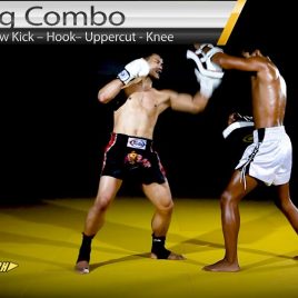 Muay Thai/MMA Combo: Switch Kick, Leg Kick, Hook, Uppercut, Knee