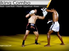 Muay Thai/MMA Combo: Switch Kick, Leg Kick, Hook, Uppercut, Knee