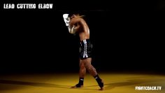 Muay Thai/MMA Cutting Elbow: instructional