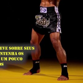 Muay Thai Postura Básica e Movimento