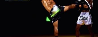 Muay Thai Roundhouse Kick: instructional
