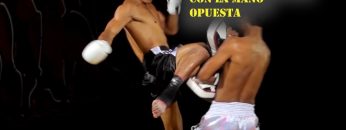 Rodilla Voladora (Muay Thai/MMA)