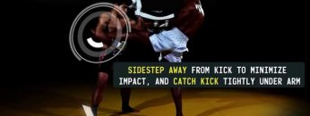 Striking Combo: Catch kick, vertical elbow, reverse elbow