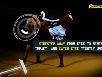 Striking Combo: Catch kick, vertical elbow, reverse elbow