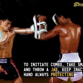 Striking Combo: Jab, Cross, Left Hook to Body, High Kick